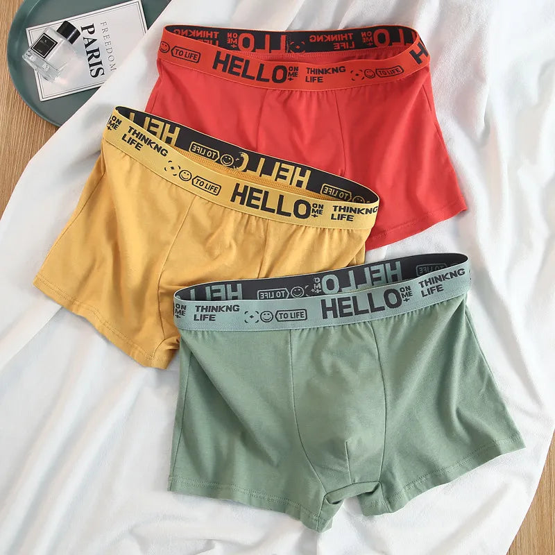 12 pieces Mens Underwear Men Cotton Underpants Male Pure Men Panties Shorts Breathable Boxer Shorts Comfortable soft Plus size