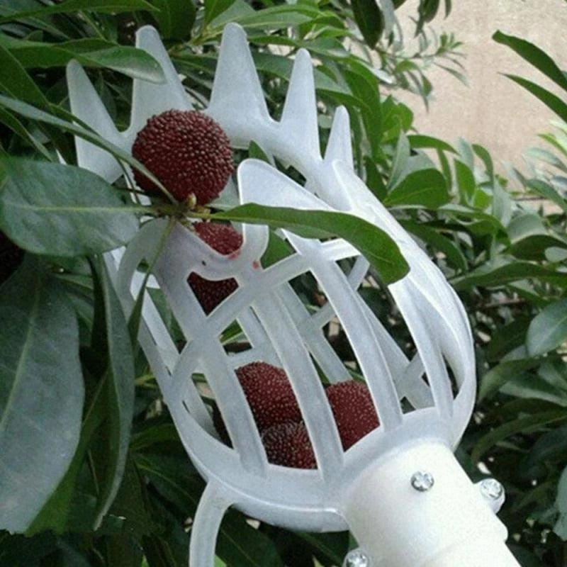 Garden Basket Fruit Picker Head Plastic Fruit Picking Tool High-altitude Fruit Picker Picking Loquat Picking Bayberry Tool